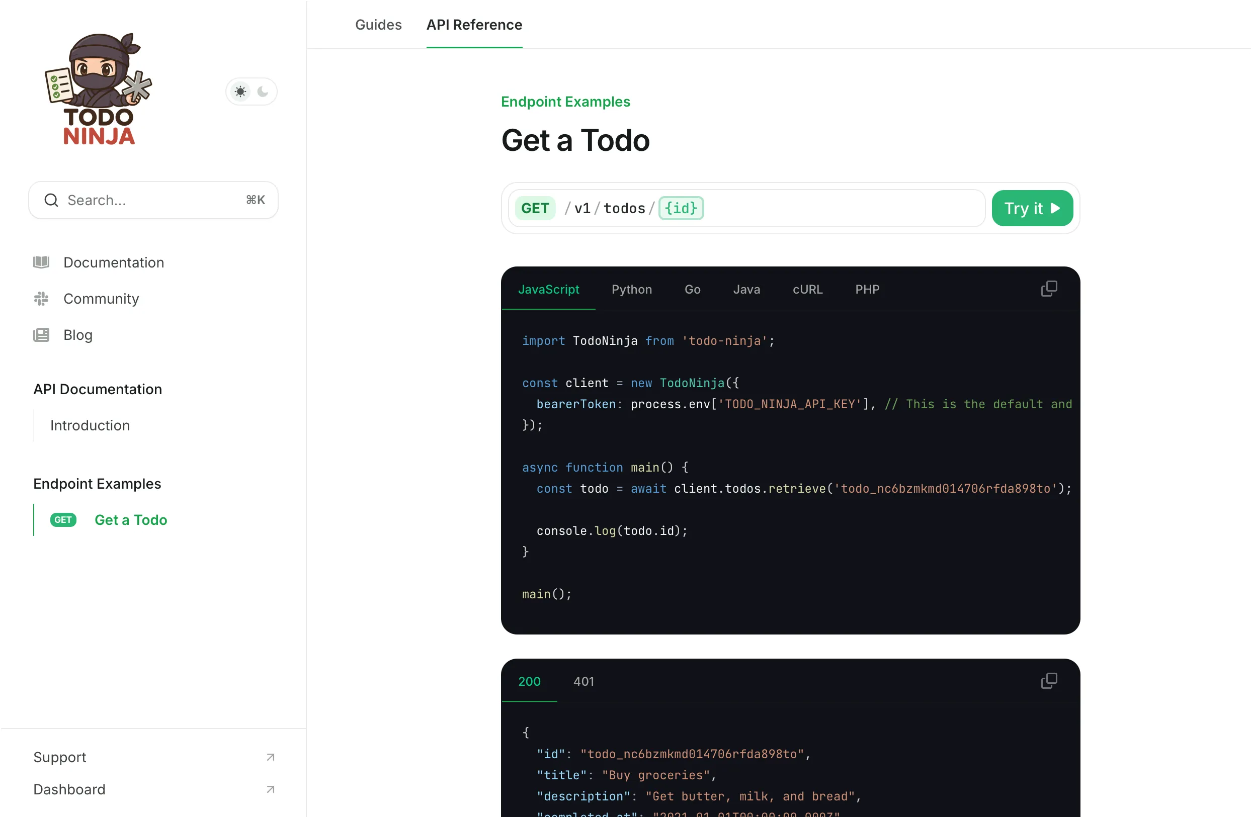 JavaScript code example rendered by Mintlify API docs